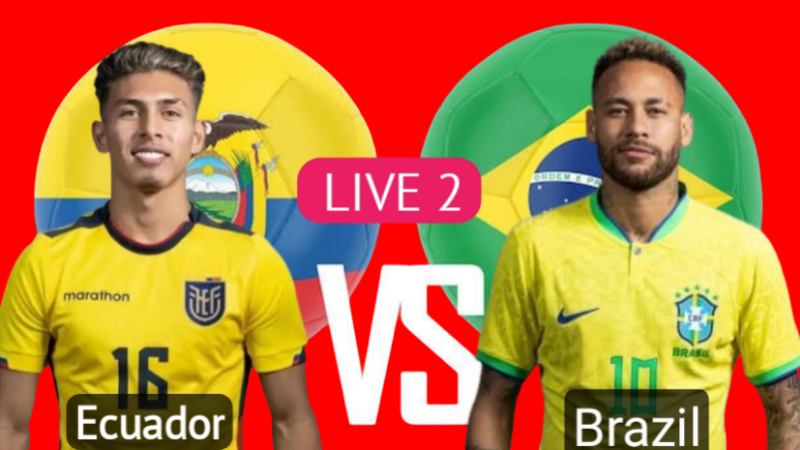 Brazil vs Ecuador 2